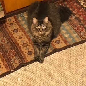 Meet your Posher, Alberta